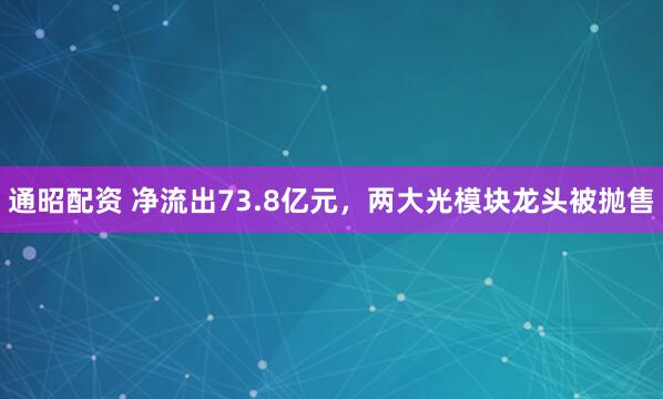 通昭配资 净流出73.8亿元，两大光模块龙头被抛售