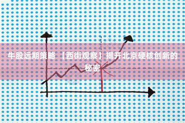 牛股远期策略 【西街观察】揭开北京硬核创新的秘密