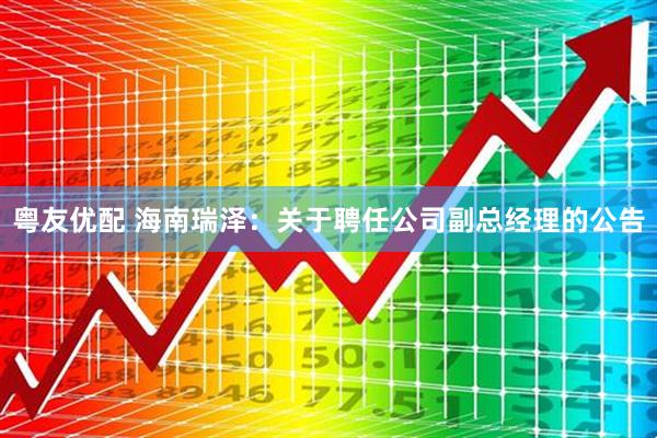 粤友优配 海南瑞泽：关于聘任公司副总经理的公告